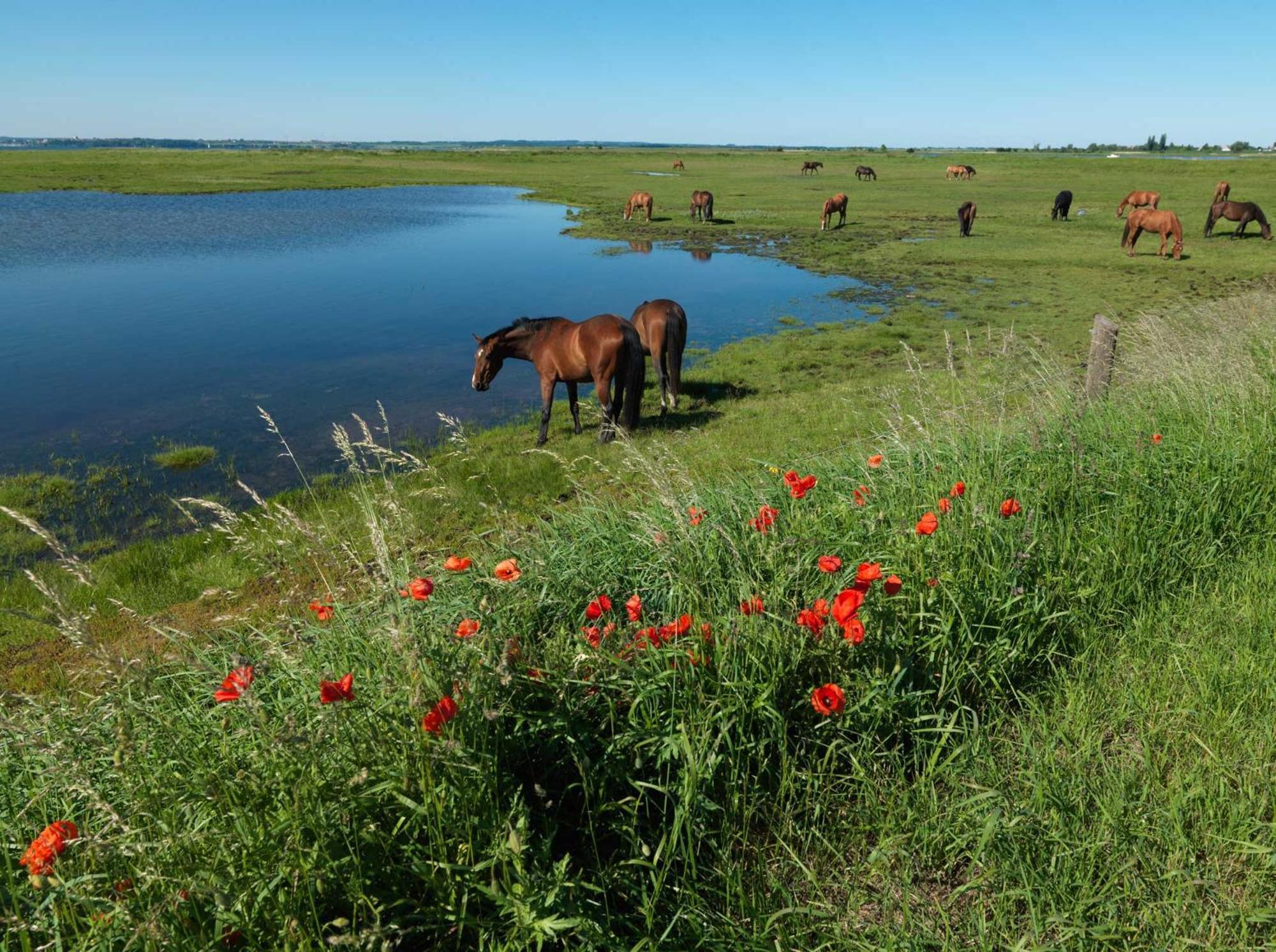 Haus Kulschewski Insel Poel Dış mekan fotoğraf